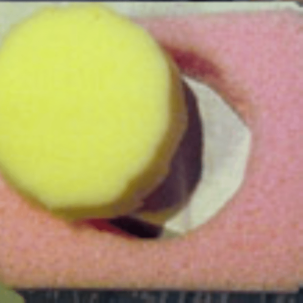 Rolo de Viscoelástico com manga