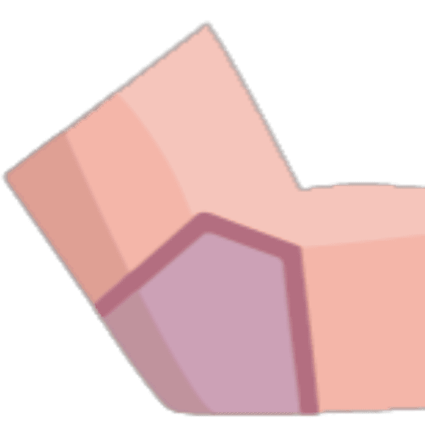 Rolo de Viscoelástico com manga