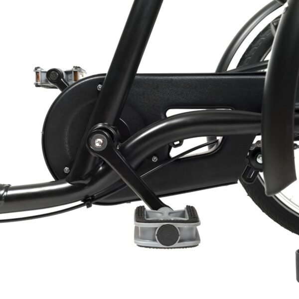 2202 SAFARI triciclo adaptado Kids 12"