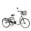 2219 Lagoon triciclo 24"