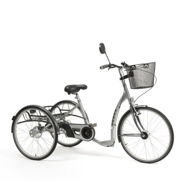 2219 Lagoon triciclo 24"