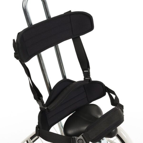 2202 SAFARI triciclo adaptado Kids 12"