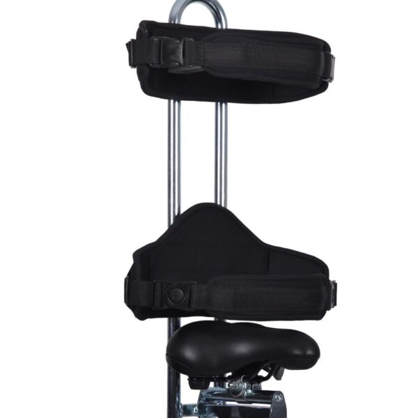 2202 SAFARI triciclo adaptado Kids 12"