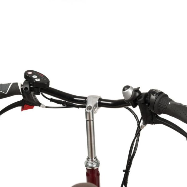 2202 SAFARI triciclo adaptado Kids 12"