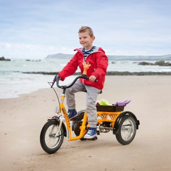 2202 SAFARI triciclo adaptado Kids 12"