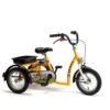 2202 SAFARI triciclo adaptado Kids 12"