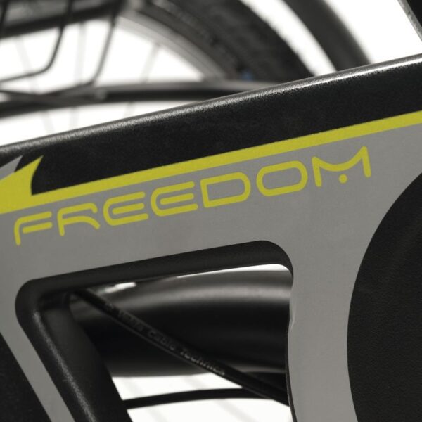 2217 Freedom triciclo 20"