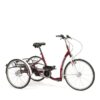 2219 Lagoon triciclo 24"