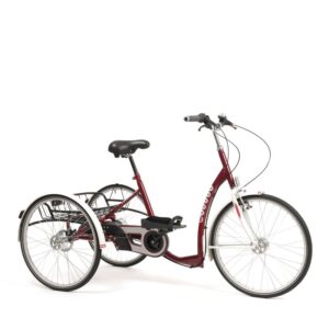 2219 Lagoon triciclo 24"