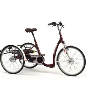 2219 E-Lagoon triciclo elétrico 24"