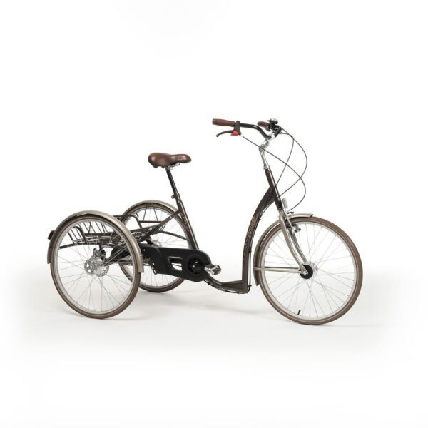 2219 Vintage triciclo 24"