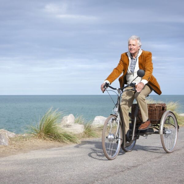 Vintage - beach 2219 E-Vintage triciclo elétrico 24"