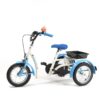 2202 AQUA triciclo adaptado Kids 12"