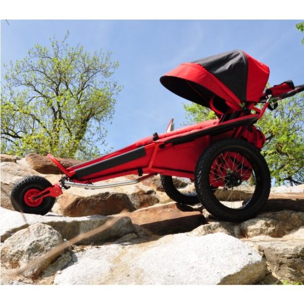 Carrinho xRover Reha BUGGY